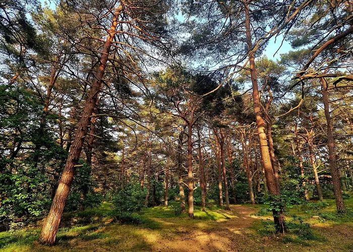 Duna Verde, Duna Marina *